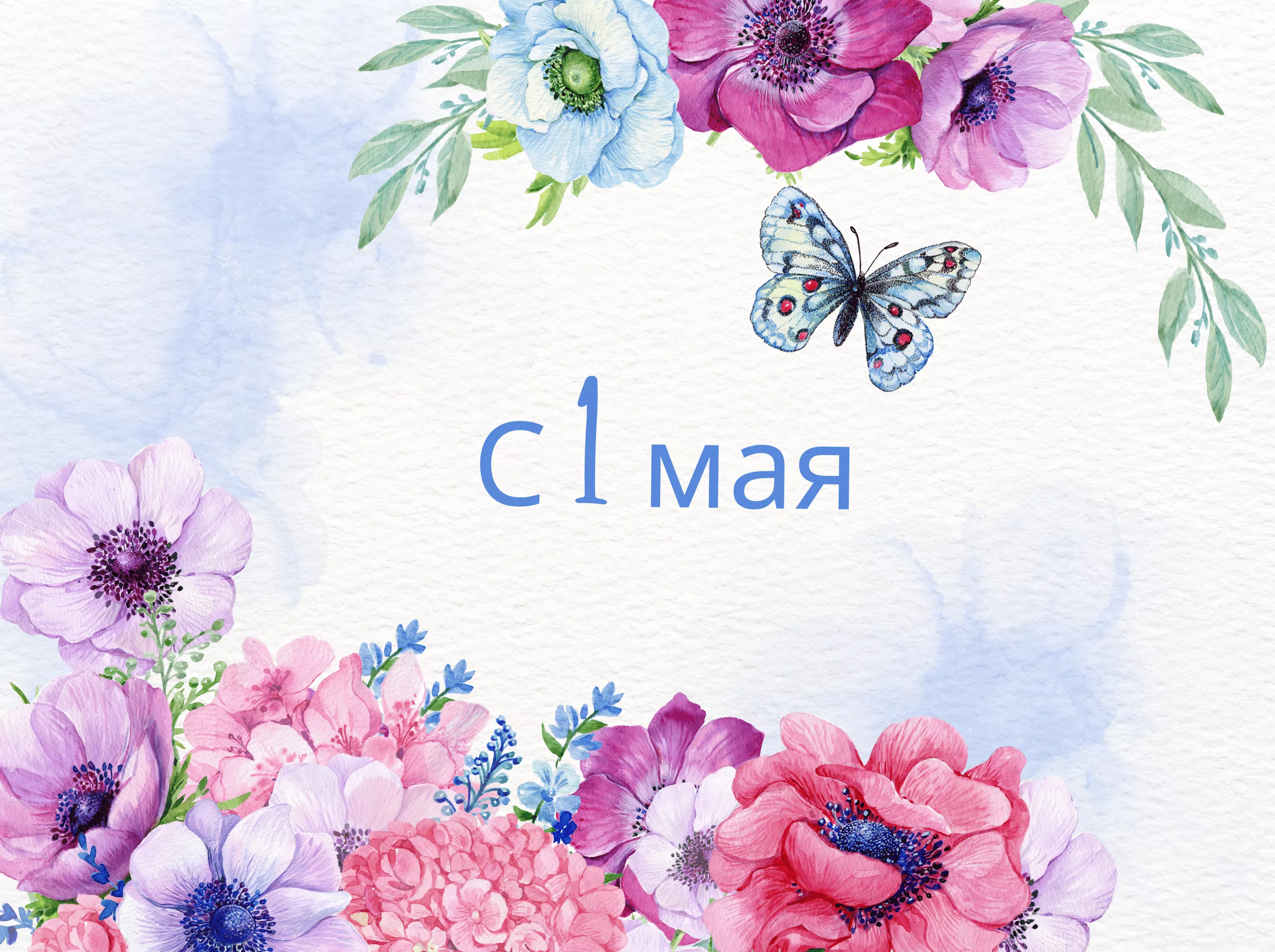С 1 мая 2024