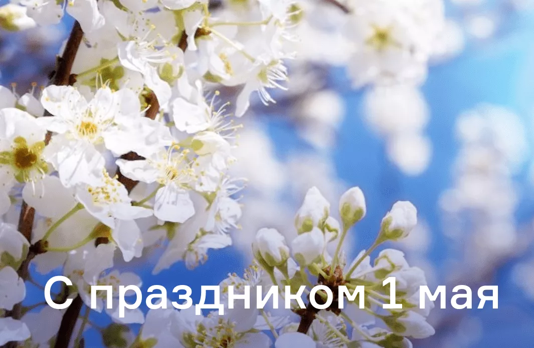 С праздником 1 мая 